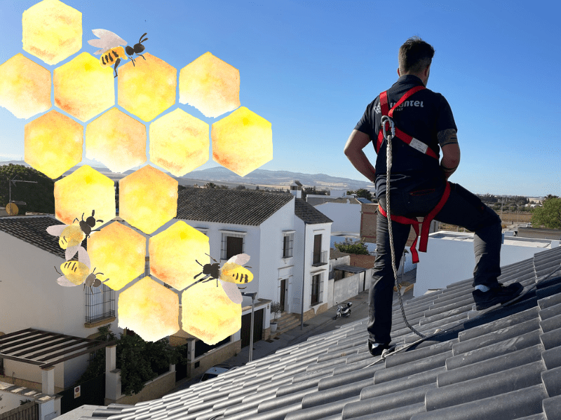 La formula de la abeja de Ivantel Energy